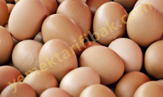 Yumurta Hakkında Bilmeniz Gerekenler